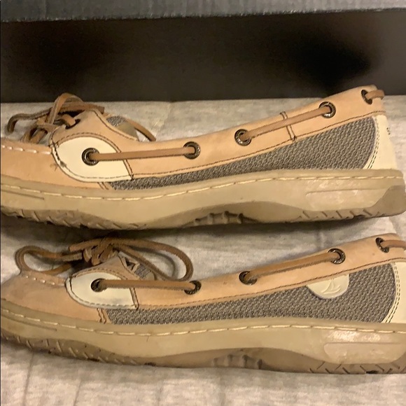 Sperry Angelfish - Picture 6 of 7